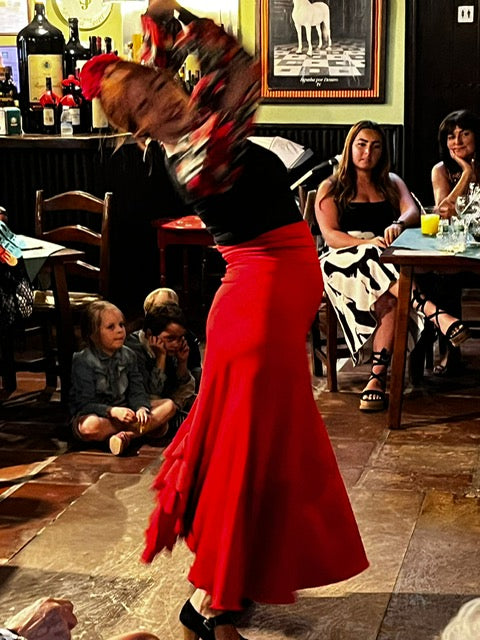 Flamenco fietstour